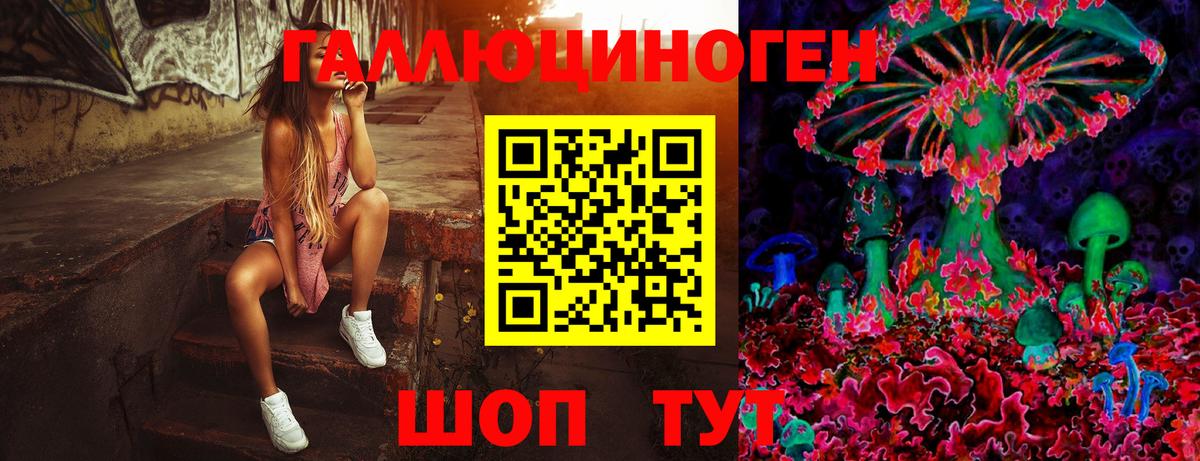 Галлюциногенные грибы Psilocybine cubensis  Вход с VPN  Псков 