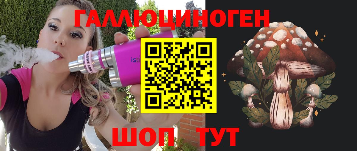 Псилоцибиновые грибы Psilocybine cubensis Псков